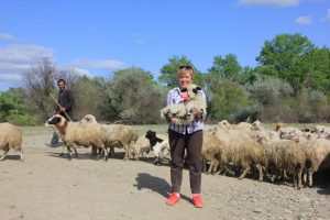 photo_13_2023-12-14_09-08-03