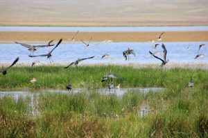 photo_7_2023-12-14_09-08-03